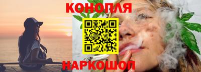гидропоника Краснознаменск