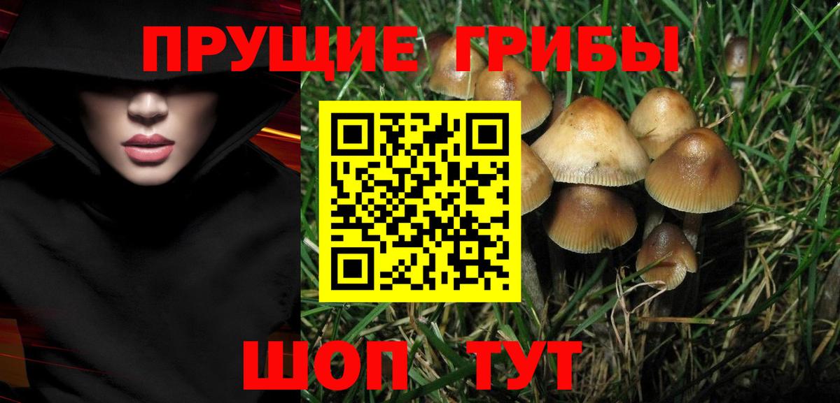 Калининград  Галлюциногенные грибы Magic Shrooms  Вход с VPN  Псилоцибиновые грибы MAGIC MUSHROOMS 