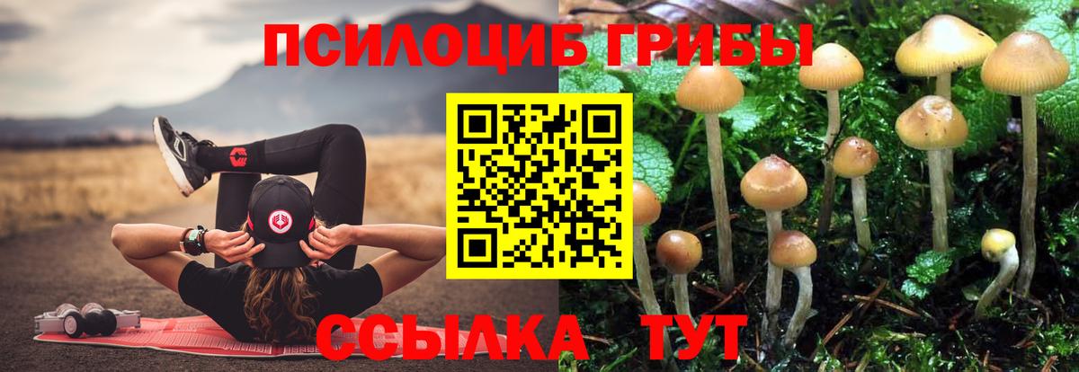 Канабис Калининград